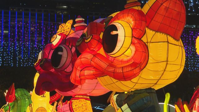 無綫新聞 TVB News