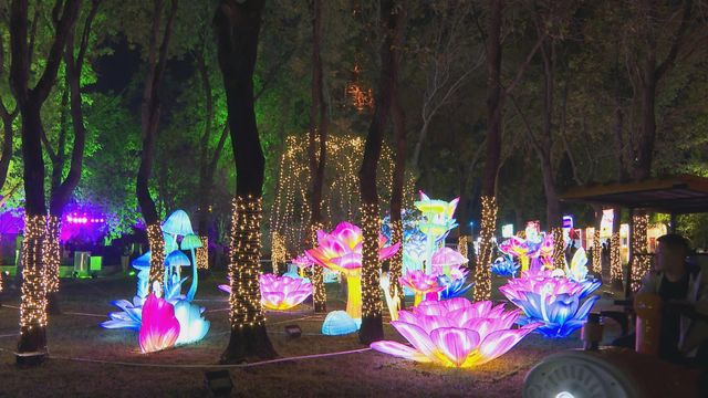 無綫新聞 TVB News