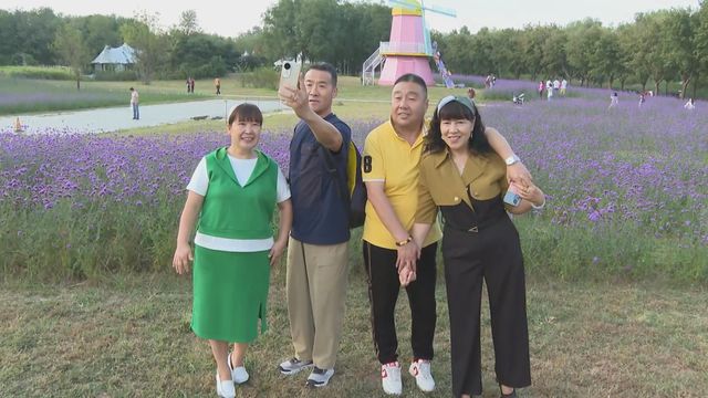 無綫新聞 TVB News