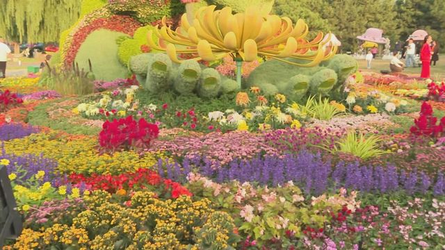 無綫新聞 TVB News
