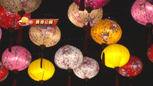 無綫新聞 TVB News