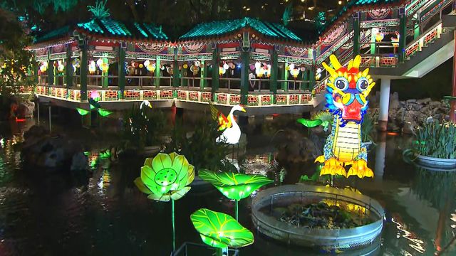 無綫新聞 TVB News