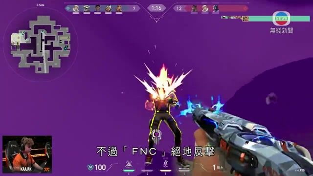 图片_777d5445