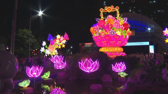 無綫新聞 TVB News