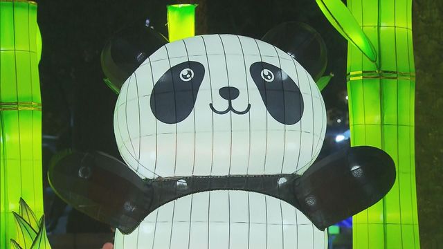 無綫新聞 TVB News