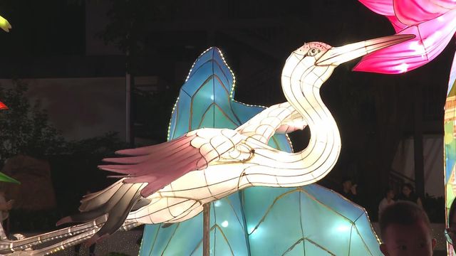 無綫新聞 TVB News