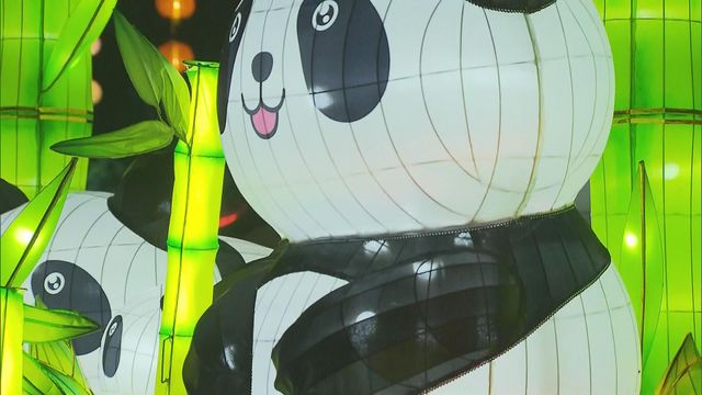 無綫新聞 TVB News