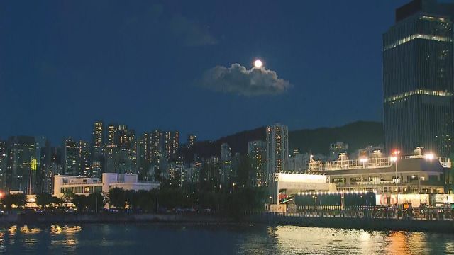 無綫新聞 TVB News