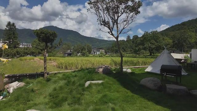 無綫新聞 TVB News