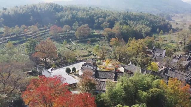 無綫新聞 TVB News