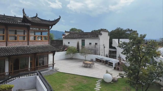 無綫新聞 TVB News
