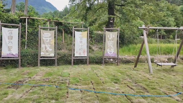 無綫新聞 TVB News