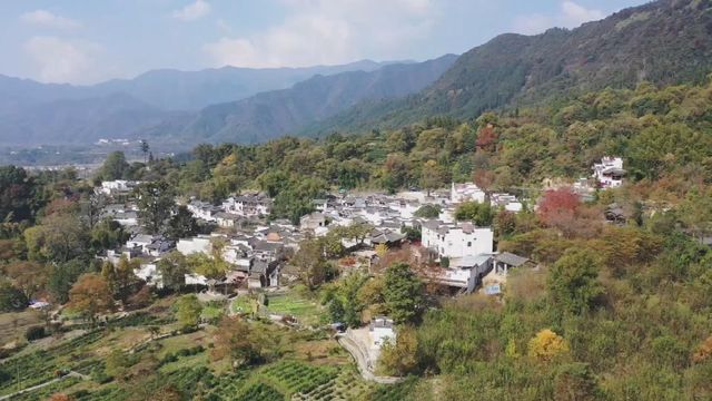 無綫新聞 TVB News