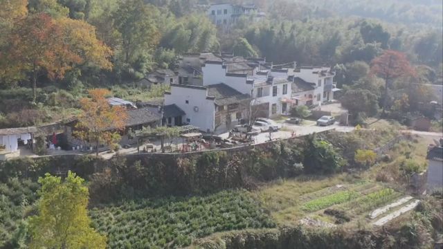 無綫新聞 TVB News