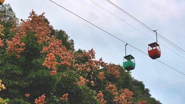 無綫新聞 TVB News