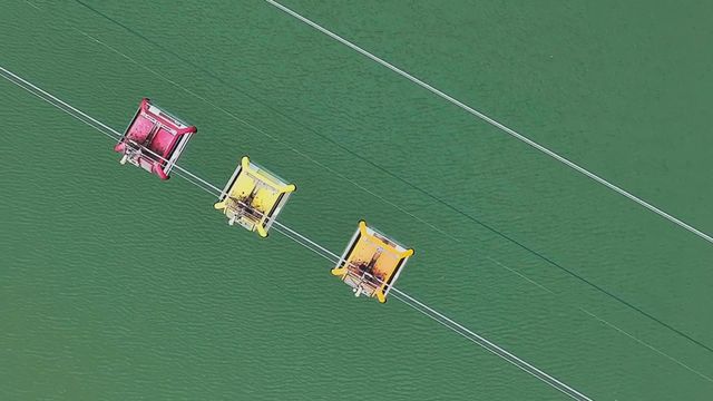 無綫新聞 TVB News