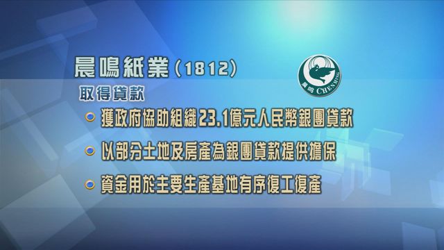 晨鳴紙業獲政府協助組織23.1億人民幣銀團貸款　用作復工復產