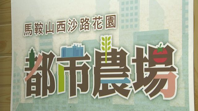 無綫新聞 TVB News 無綫新聞 TVB News