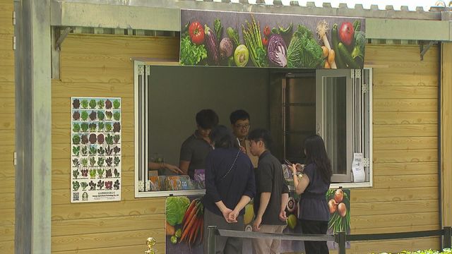 無綫新聞 TVB News 無綫新聞 TVB News