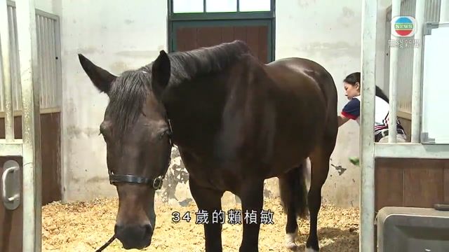 图片_4d5f2477