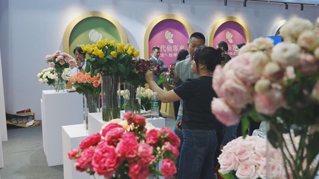 無綫新聞 TVB News 無綫新聞 TVB News