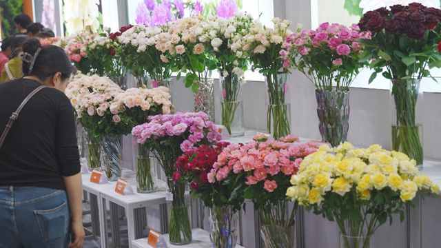 無綫新聞 TVB News 無綫新聞 TVB News