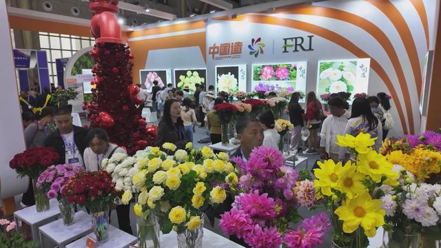 無綫新聞 TVB News 無綫新聞 TVB News