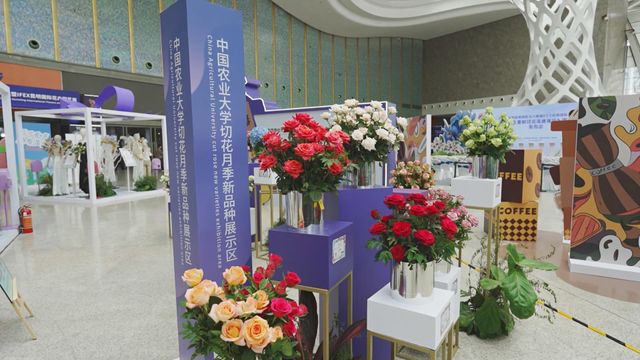 無綫新聞 TVB News 無綫新聞 TVB News