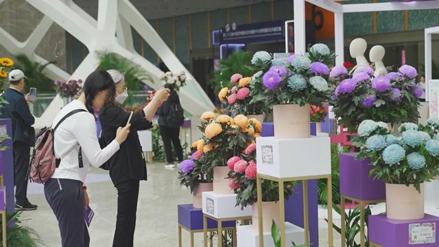 無綫新聞 TVB News 無綫新聞 TVB News