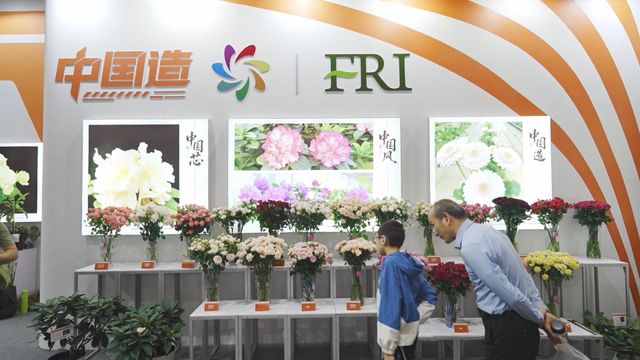 無綫新聞 TVB News 無綫新聞 TVB News