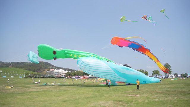 無綫新聞 TVB News 無綫新聞 TVB News