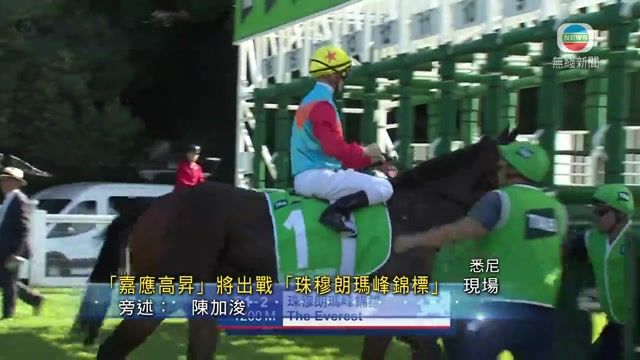 图片_1379409c