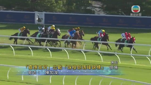 图片_2cf2c54b