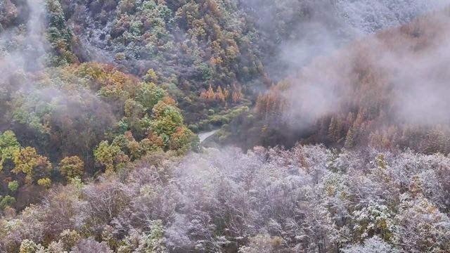 無綫新聞 TVB News 無綫新聞 TVB News
