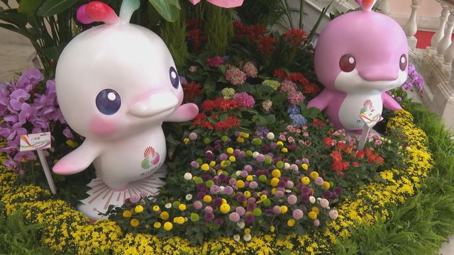 無綫新聞 TVB News 無綫新聞 TVB News