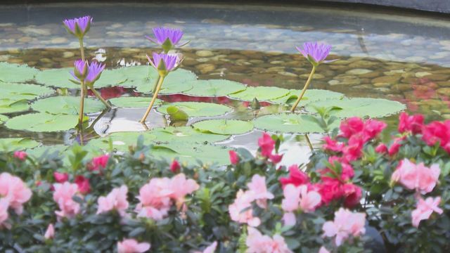 無綫新聞 TVB News 無綫新聞 TVB News