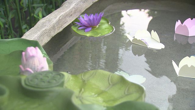 無綫新聞 TVB News 無綫新聞 TVB News