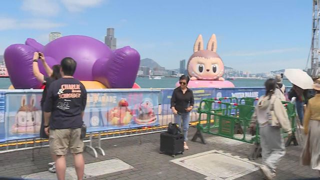 無綫新聞 TVB News 無綫新聞 TVB News