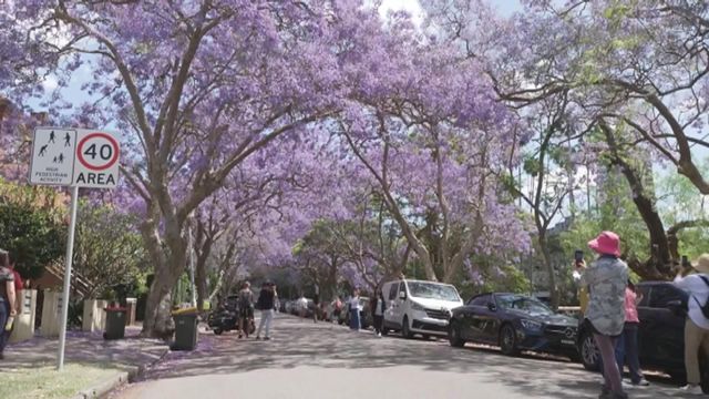 無綫新聞 TVB News 無綫新聞 TVB News