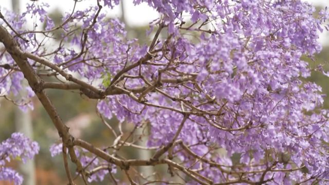 無綫新聞 TVB News 無綫新聞 TVB News