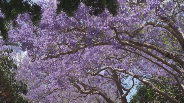 無綫新聞 TVB News 無綫新聞 TVB News