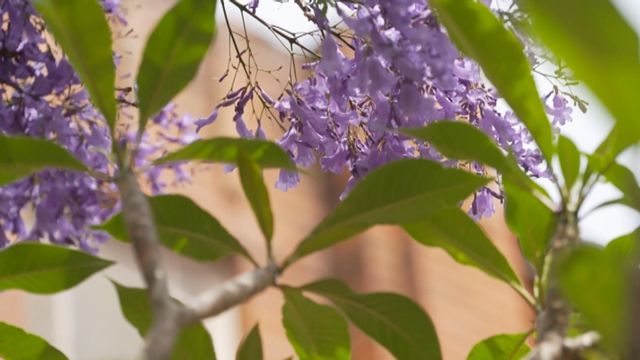 無綫新聞 TVB News 無綫新聞 TVB News