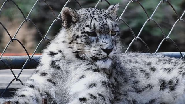 無綫新聞 TVB News 無綫新聞 TVB News