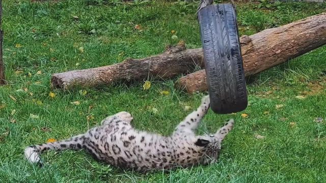 無綫新聞 TVB News 無綫新聞 TVB News