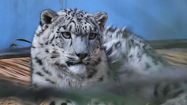 無綫新聞 TVB News 無綫新聞 TVB News