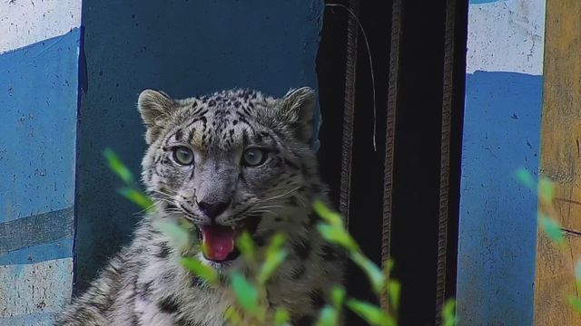 無綫新聞 TVB News 無綫新聞 TVB News