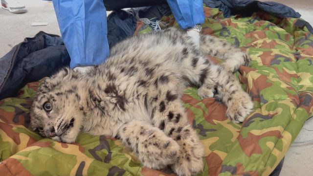 無綫新聞 TVB News 無綫新聞 TVB News