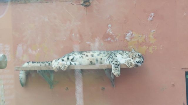 無綫新聞 TVB News 無綫新聞 TVB News