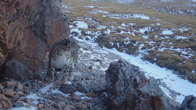 無綫新聞 TVB News 無綫新聞 TVB News