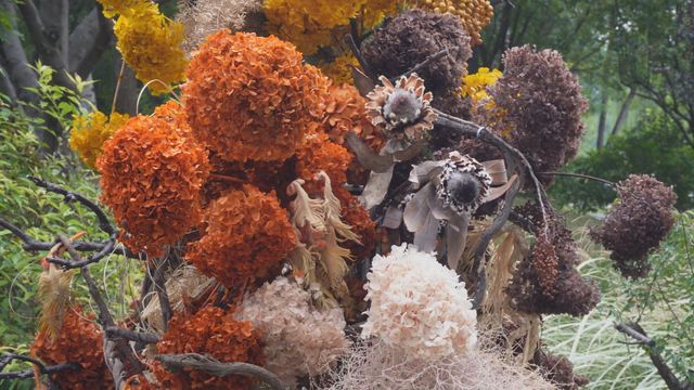 無綫新聞 TVB News 無綫新聞 TVB News